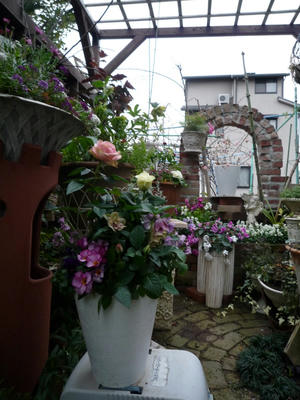 P1020182.JPG