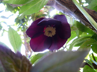 P1020238.JPG