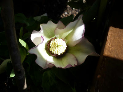 P1020259.JPG