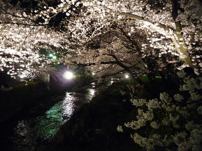 P1030755.JPG