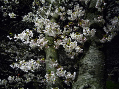 P1030789.JPG