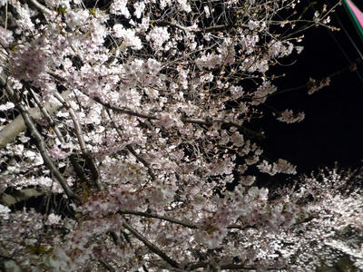 P1030769.JPG