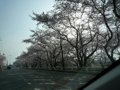 P1030813.JPG
