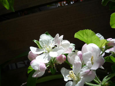 P1040001.JPG