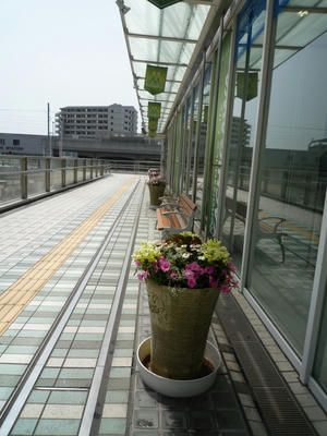 P1040550.JPG