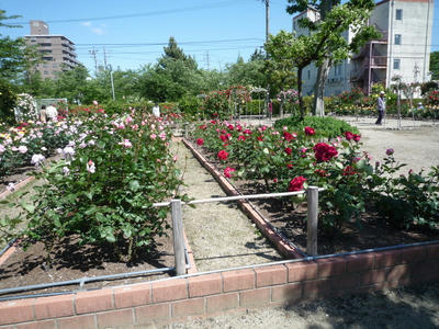 P1040676.JPG
