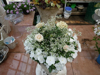 P1050189.JPG