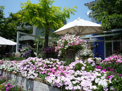 P1050100.JPG