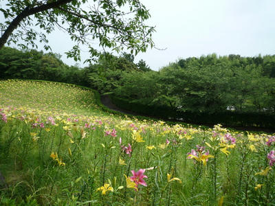 P1050450.JPG