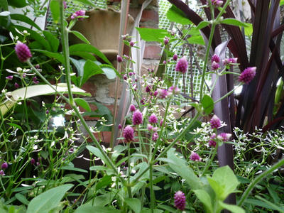 P1050482.JPG