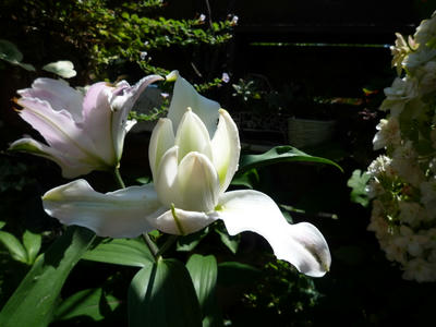 P1050547.JPG