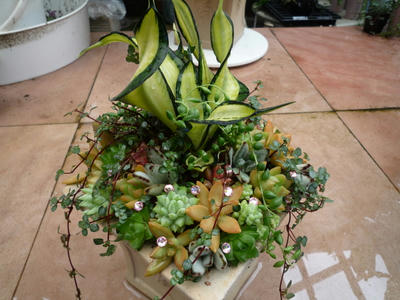 P1050856.JPG