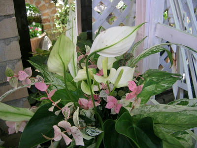 DSCN0977.JPG