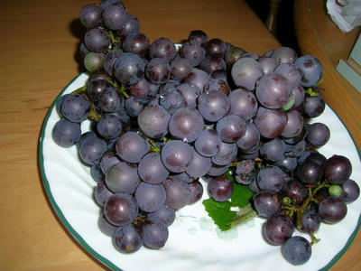 DSCN0983.JPG