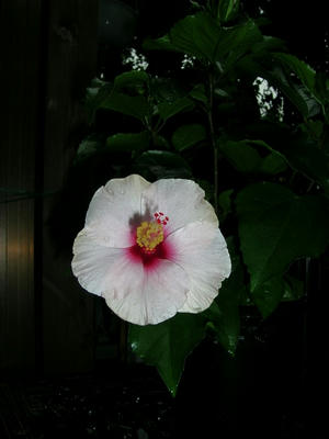 DSCN1032.JPG