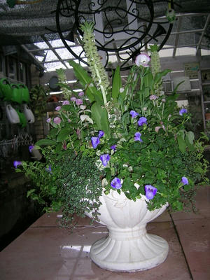 DSCN1068.JPG