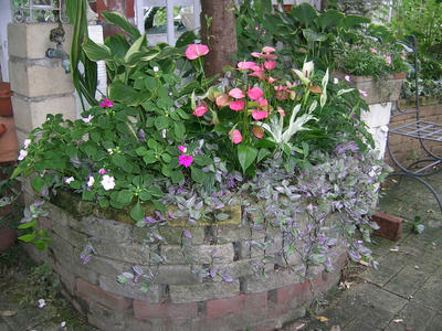 DSCN1060.JPG