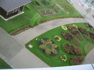 DSCN1133.JPG