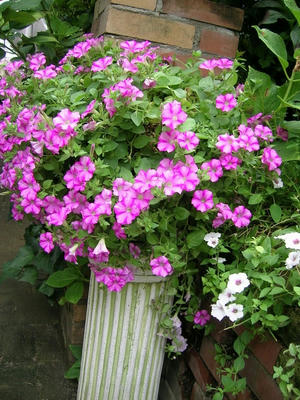 DSCN1227.JPG