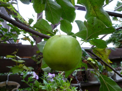 P1000093.JPG