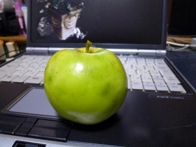 P1000106.JPG