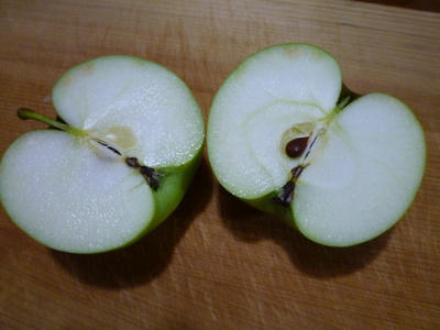P1000111.JPG