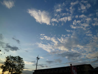 P1000122.JPG
