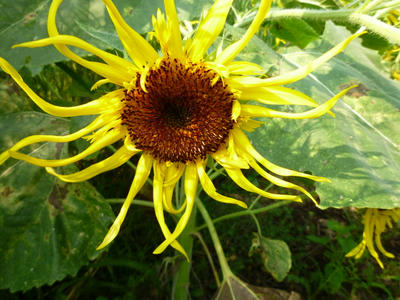 P1000315.JPG