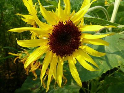 P1000314.JPG