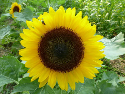 P1000305.JPG
