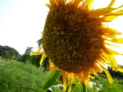 P1000317.JPG