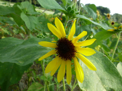 P1000324.JPG