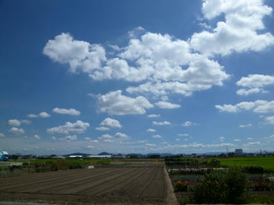 P1000692.JPG