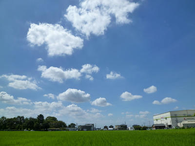 P1000690.JPG