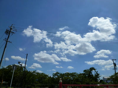 P1000693.JPG