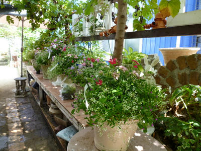 P1000847.JPG