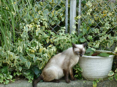 P1000853.JPG