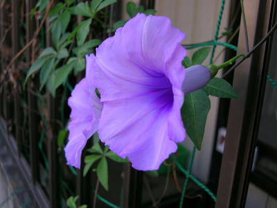 DSCN1263.JPG