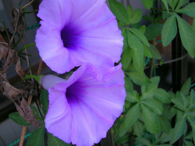 DSCN1268.JPG