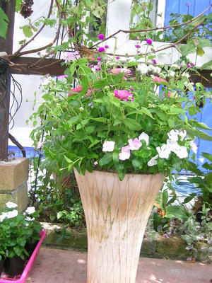 DSCN1314.JPG