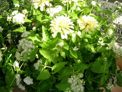 DSCN1322.JPG