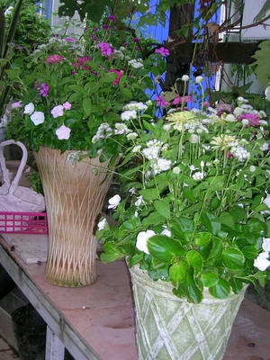 DSCN1325.JPG