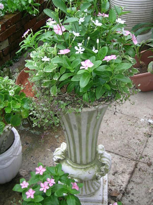 DSCN1332.JPG