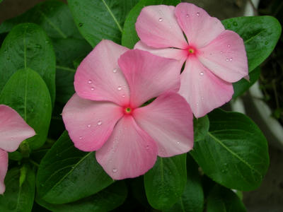 DSCN1328.JPG