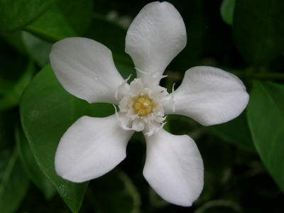 DSCN1329.JPG