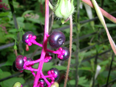 DSCN1357.JPG