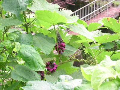 DSCN1373.JPG