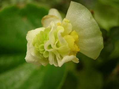 DSCN1281.JPG