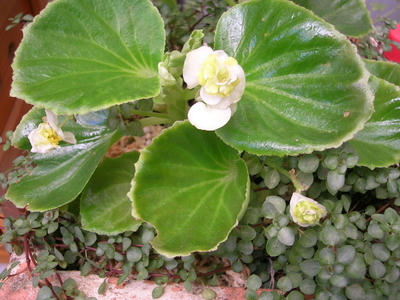 DSCN1288.JPG