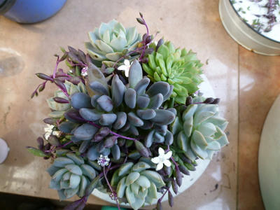 P1030033.JPG